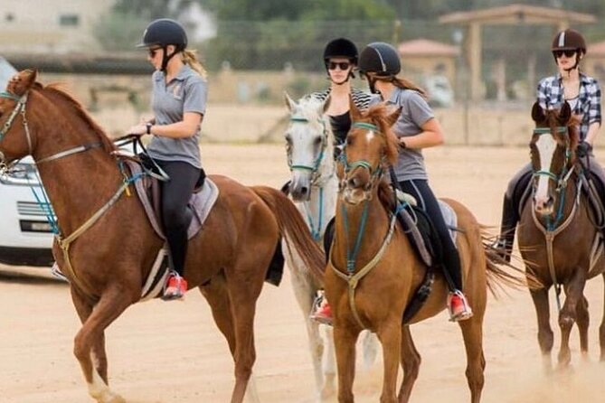 Sunrise Horse Riding Dubai - Why the included transport matters at 5:00 am