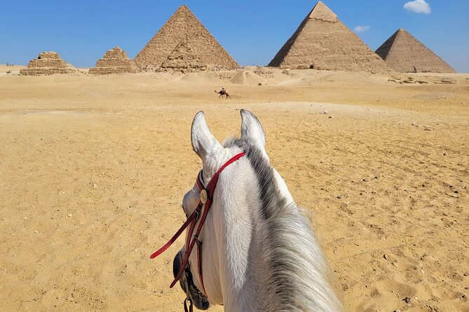 Sunrise Horseback Ride Around the Pyramid of Giza - Meeting the horses and starting the ride