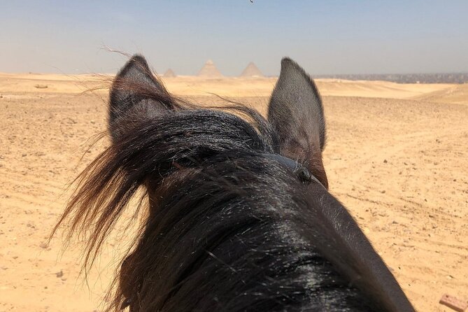 Sunrise Horseback Ride Around the Pyramid of Giza - The private transfer is more valuable than it sounds