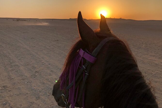 Sunrise Horseback Ride Around the Pyramid of Giza - Water, soft drinks, and the included cost