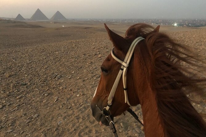Sunrise Horseback Ride Around the Pyramid of Giza - Riding around the Pyramids of Giza