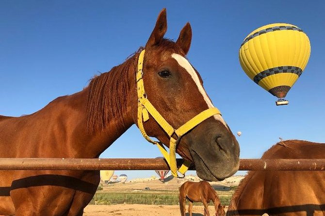 Sunrise Horsebackriding Tour in Cappadocia - Rose Valley: a quieter look at Cappadocia’s stone