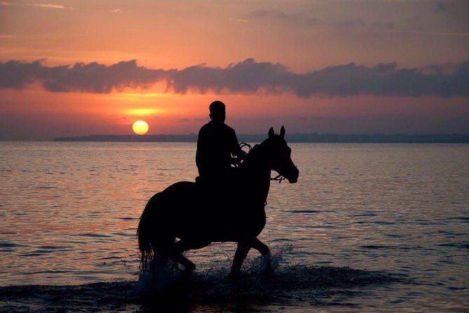 Sunset Beach Horseback Riding - Key points to know before booking