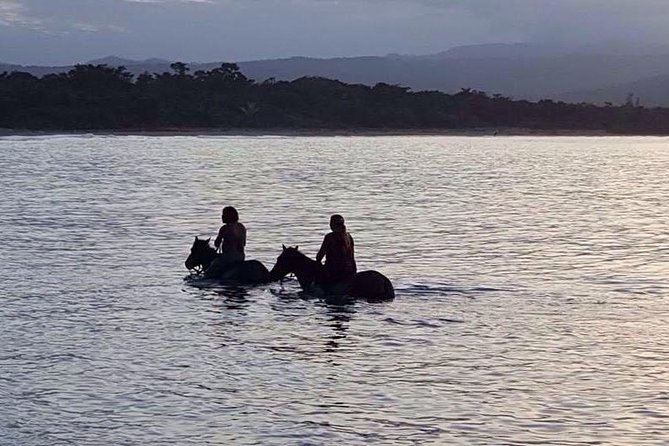 Sunset Beach Horseback Riding - The possible horse swim