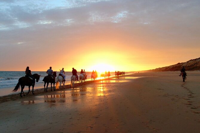 Sunset Beach Horseback Riding - Dinner at Bergantin Beach