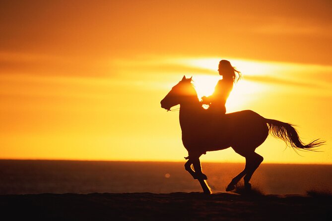 Sunset Beach Horseback Riding - What the guides add to the evening
