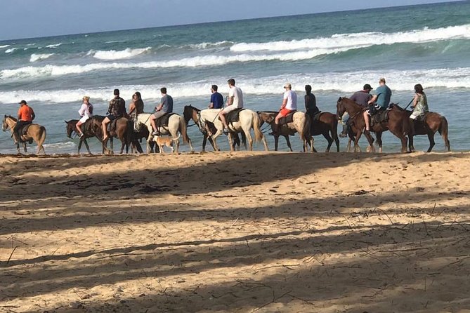 Sunset beach horsebackriding Punta Cana - Riding beside Punta Cana’s surf