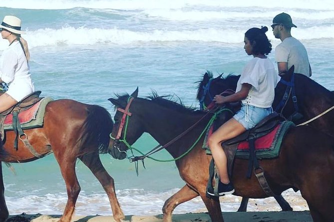 Sunset beach horsebackriding Punta Cana - What happens from the 4:00 pm pickup onward