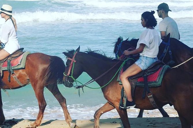 Sunset beach horsebackriding Punta Cana - Photos, coconut water, and the small shop