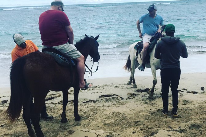 Sunset beach horsebackriding Punta Cana - How much value do you get for $57.15?