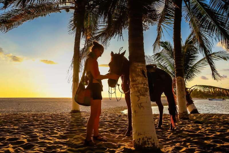 Sunset by Horse on the Beach - Riding from San José Manialtepec to the shore