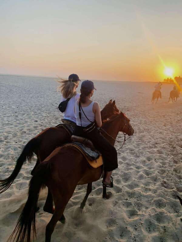 Sunset by Horse on the Beach - The beach ride at sunset