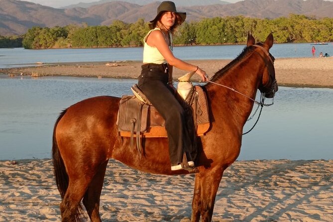 Sunset by horse (river and beach) - What the horses and guides are like