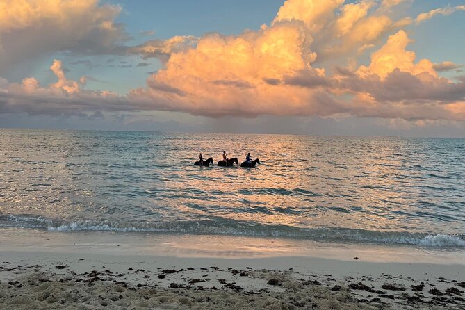 Sunset Horse Ride Experience - Along the coastline and into the water