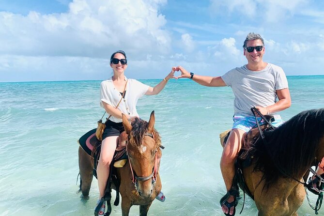 Sunset Horse Ride Experience - The animal-care question deserves attention