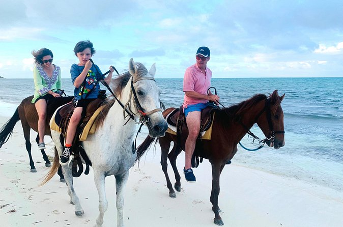 Sunset Horse Ride Experience - Who will enjoy this most