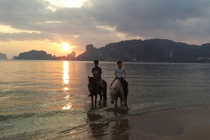Sunset Horse Riding And BBQ Dinner Tour At Ao Nam Mao Beach Krabi - Who will enjoy this evening most