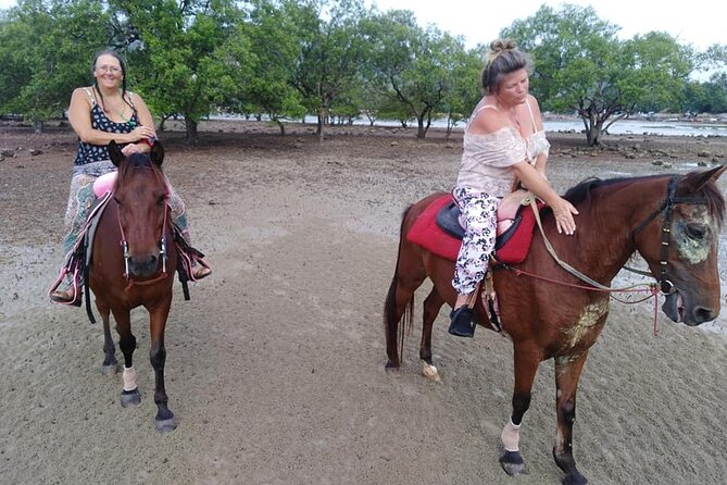 Sunset Horse Riding Tour at Ao Nam Mao Beach Krabi - Horse care deserves your attention