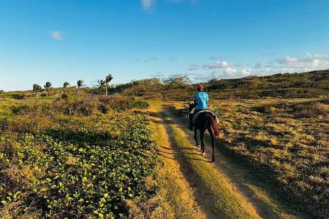 Sunset Horseback Ride at Macao Beach & Forest with Transfers - Why this sunset ride feels different from a standard Punta Cana outing