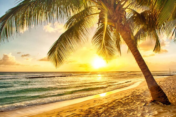 Sunset Horseback Ride at Macao Beach & Forest with Transfers - Guides, languages, and the ride back
