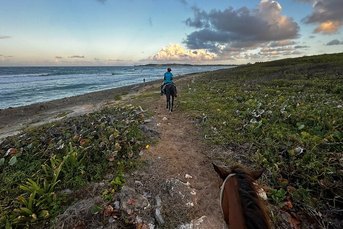 Sunset Horseback Ride at Macao Beach & Forest with Transfers - Is $61 a fair price?