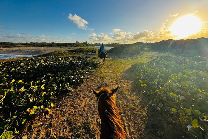 Sunset Horseback Ride at Macao Beach & Forest with Transfers - The one-hour ride at Macao Beach