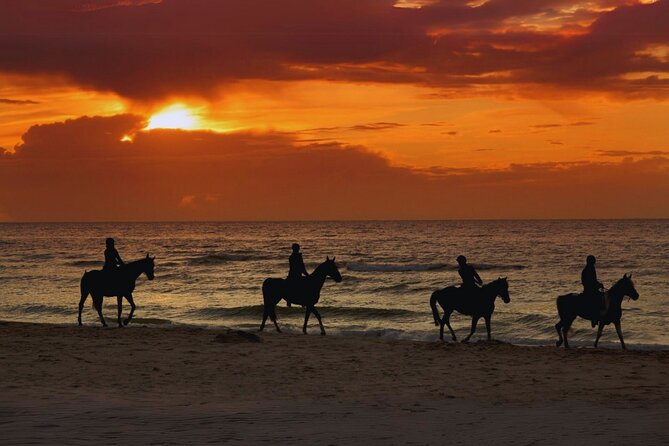 Sunset Horseback Ride by the Beach in Aguadilla, Puerto Rico - Key points to know before you book