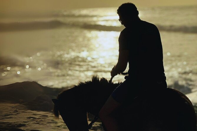 Sunset Horseback Ride by the Beach in Aguadilla, Puerto Rico - A coastal ride with more than a beach view