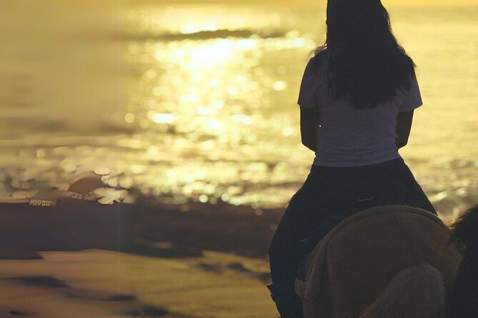 Sunset Horseback Ride by the Beach in Aguadilla, Puerto Rico - Getting comfortable with the horses