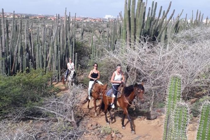 Sunset Horseback Ride in Aruba - Reaching the North East Coast