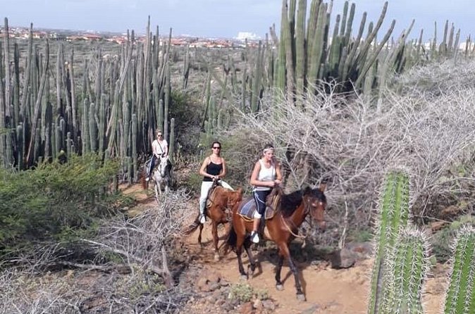Sunset Horseback Ride in Aruba - The hilltop sunset stop