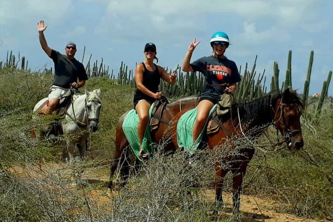 Sunset Horseback Ride in Aruba - Who will enjoy this ride most