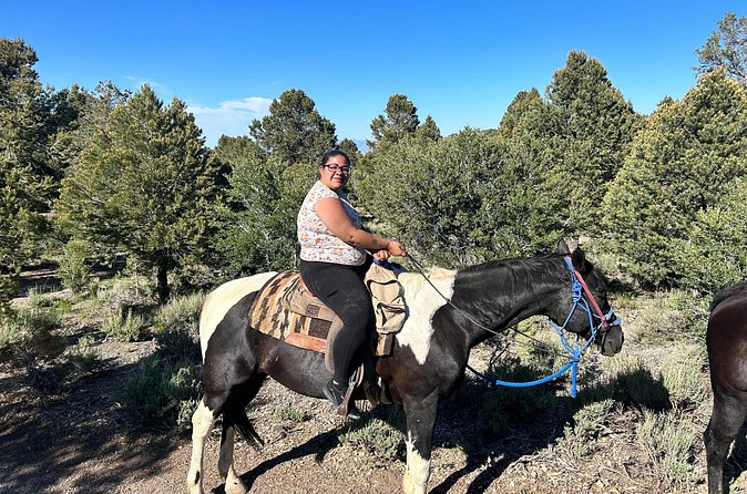 Sunset Horseback Ride With BBQ Dinner Las Vegas - Getting there without a frustrating start