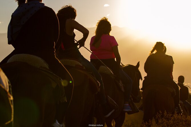 Sunset Horseback Riding - Leaving Mendoza for Lunlunta at 5:30 pm