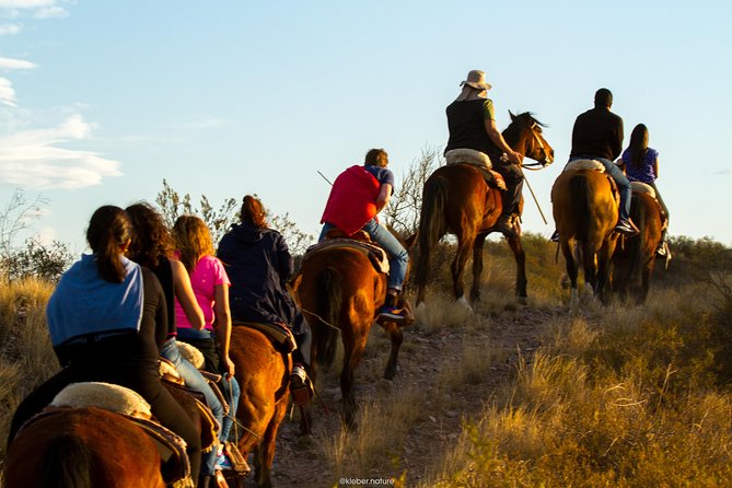 Sunset Horseback Riding - Who should book this evening?
