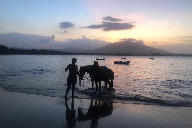 Sunset Horseback Riding in Puerto Plata - Meeting your horse and learning the basics