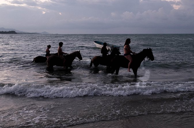 Sunset Horseback Riding in Puerto Plata - What the $69 price really covers