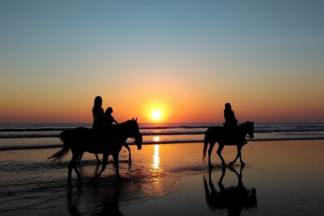Sunset Horseback Riding in Puerto Plata - From the Puerto Plata pickup to the beach