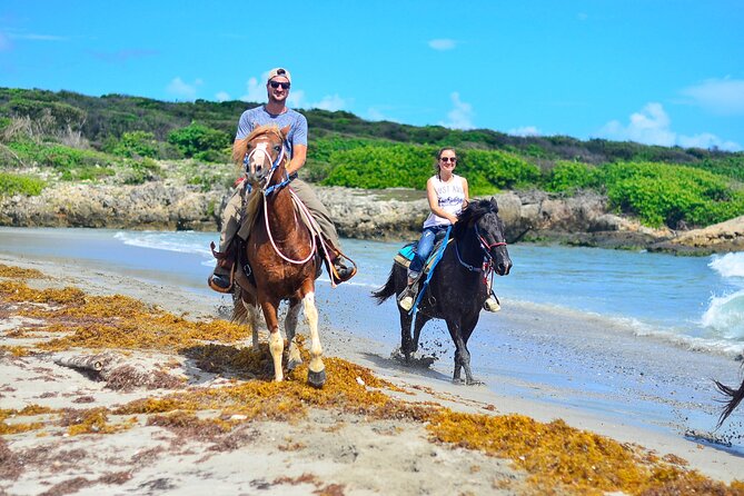 Sunset Horseback Riding Tour in Punta Cana (Private Option) - Horse care, comfort, and safety