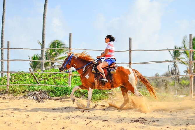 Sunset Horseback Riding Tour in Punta Cana (Private Option) - Reaching Macao Beach and Boca de Maimón