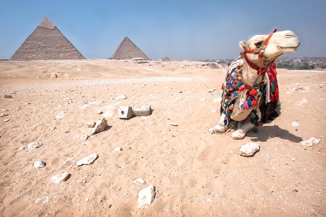 Sunset Safari Tour By Horse or Camel Ride - Why the sunset setting changes the Giza experience