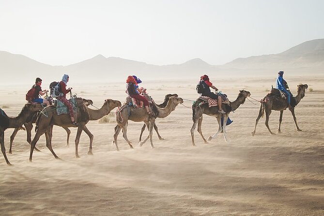 Sunset Safari Tour By Horse or Camel Ride - The guide, driver, and the practical human touch