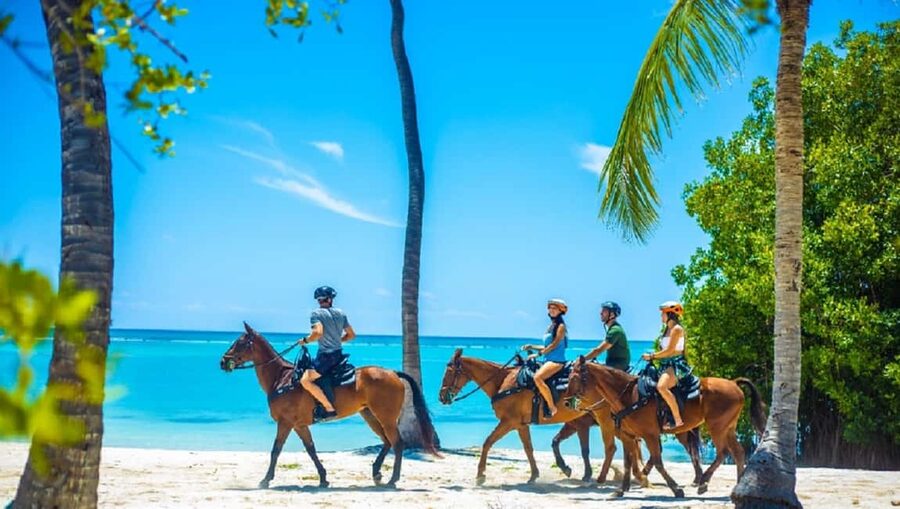 Swim Horse fom Punta Cana - Key points to know before you book