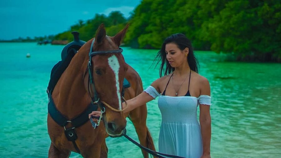 Swim Horse fom Punta Cana - What this Punta Cana horse swim actually involves