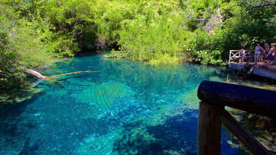 Swim Horse fom Punta Cana - Who should book this experience?