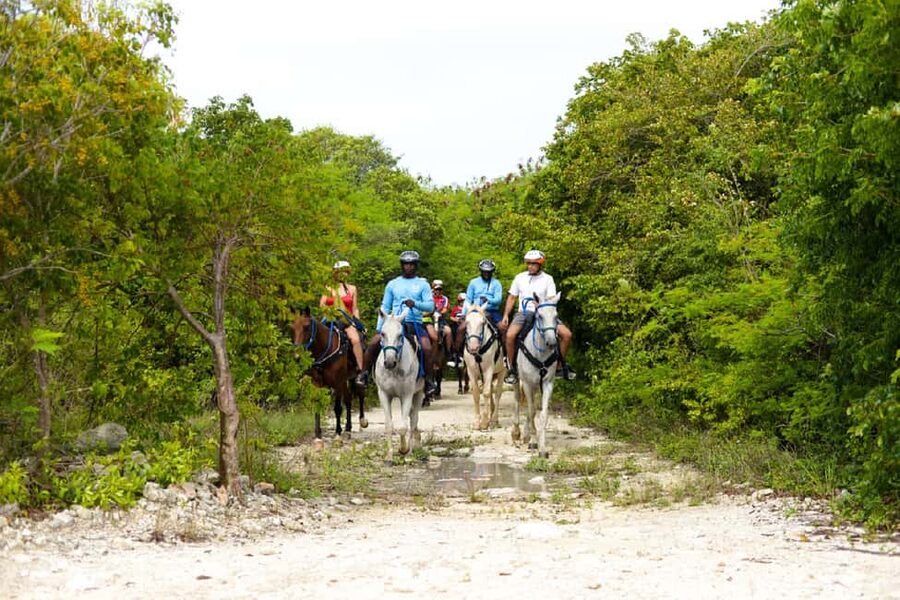 Swim Horse fom Punta Cana - Riding through Punta Cana’s forest paths