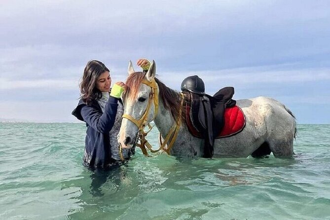 Swimming by Horse 3 Hours ,Beach, Desert & Dinner - Hurghada - Key points to know before booking
