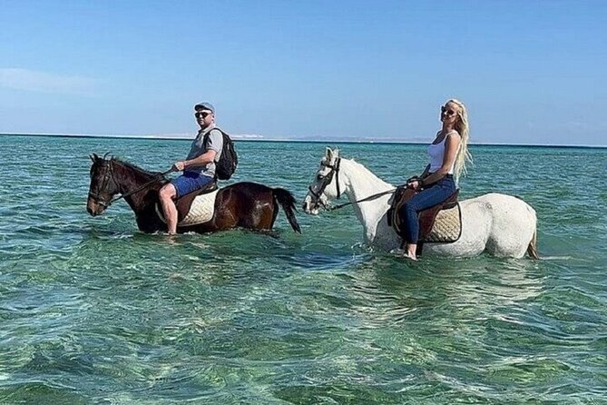 Swimming by Horse 3 Hours ,Beach, Desert & Dinner - Hurghada - Swimming with your horse in the Red Sea