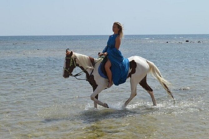 Swimming by Horse 3 Hours ,Beach, Desert & Dinner - Hurghada - Dinner after the ride