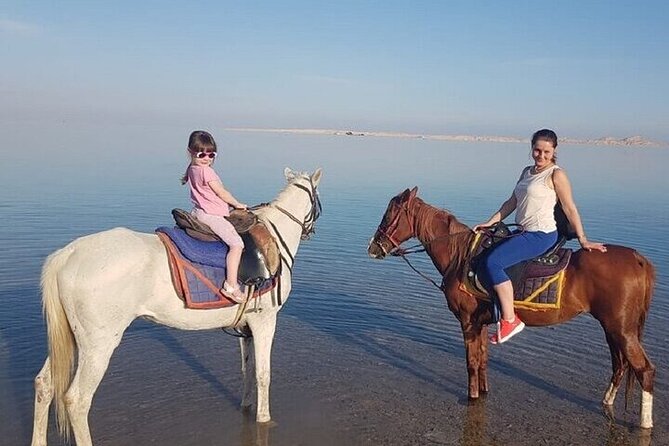Swimming by Horse 3 Hours ,Beach, Desert & Dinner - Hurghada - What the low price really covers